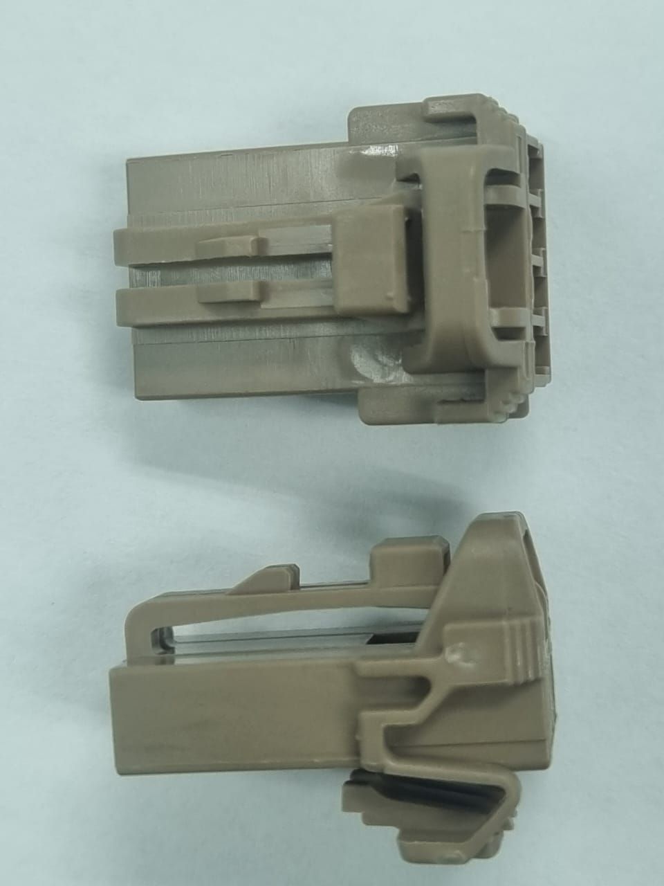 MG611275-7