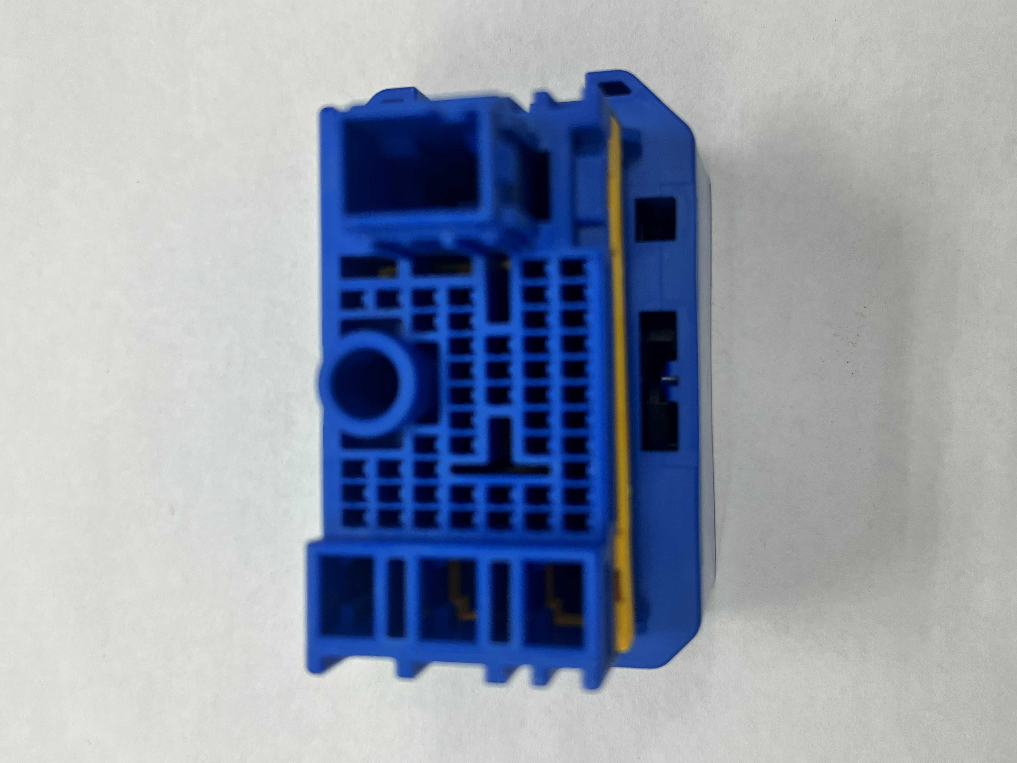 MG646295-2