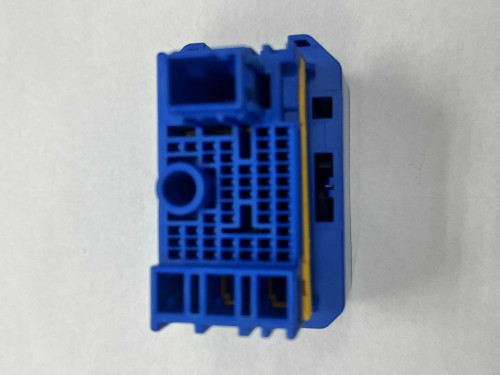 MG646295-2